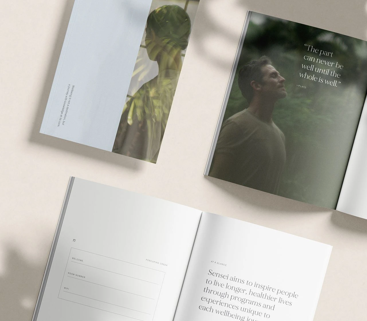 Sensei branded print collateral flatlay with editorial booklets, typography, and lifestyle photography